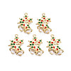 Rack Plating Alloy Enamel Pendants ENAM-N055-134-1