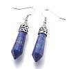 Natural Lapis Lazuli Dangle Earrings EJEW-F213-01A-2