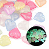 Luminous Opaque Acrylic Pendants MACR-K361-35-1