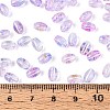 Baking Paint Transparent Glass Beads DGLA-T004-06E-4