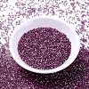 MIYUKI Delica Beads SEED-MY11-DB1880-2
