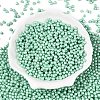 Glass Seed Beads SEED-T007-01M-1