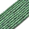 Dyed Synthetic Turquoise Beads Strands G-Z089-A04-J-3