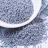 MIYUKI Round Rocailles Beads SEED-G007-RR0498-1