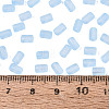 FGB Frosted Transparent Glass Seed Beads SEED-N013-05A-11-4