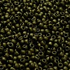 TOHO 6/0 Round Beads X-SEED-TR06-0617-4