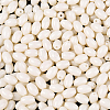 500Pcs Baking Paint Glass Seed Beads SEED-PA0001-05B-4