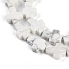 Natural Howlite Beads Strands G-I369-A18-02-4