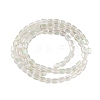 Electroplate Glass Beads Strands EGLA-D031-01R-5