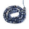 Natural Blue Spot Jasper Beads Strands G-N357-14A-04-3