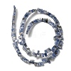 Natural Blue Spot Jasper Beads Strands G-Z045-A08-01-2