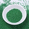 MIYUKI Delica Beads SEED-MY11-DB0655-2