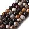 Natural Mexico Crazy Agate Beads Strands X-G-L615-A01-02-3