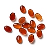 Natural Carnelian Cabochons G-F605E-22A-1