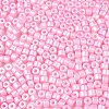 Baking Paint Pearlized Glass Seed Beads SEED-T008-03H-3