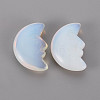 Opalite Beads G-T132-033-2