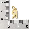 Rack Plating Brass Charms KK-P245-06G-R-3