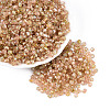 Picasso Baking Paint Glass Seed Beads SEED-N007-37L-1
