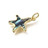 Brass & Natural Shell Pendants SH-CBA7C77-02A-G-2