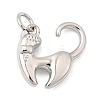Brass Charms KK-I364-02P-05-1