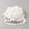 Polyester Lace Ribbon OCOR-WH0111-138B-2