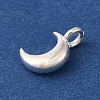 925 Sterling Silver Charms FIND-U013-06S-01-2