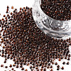 11/0 Grade A Round Glass Seed Beads SEED-N001-D-224-1