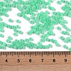 Opaque Acrylic Beads SACR-A007-01B-23-4