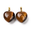 Natural Tiger Eye Pendants G-I311-A07-G-1