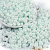Opaque Colours Luster Glass Seed Beads SEED-P008-01C-04-1