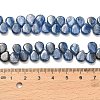 Natural Kyanite Beads Strands G-H335-E01-7x10mm-4