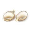 Natural Trochus Shell Charms PEAR-P004-49KCG-3