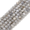 Natural Freshwater Shell Dyed Beads Strands SHEL-R100-12A-04-1