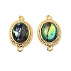 Natural Paua Shell Oval Connector Charms KK-G538-47G-1
