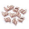 Alloy Charms PALLOY-E502-19RG-AAA-2