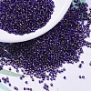 MIYUKI Delica Beads X-SEED-J020-DB0609-1
