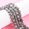 Natural Labradorite Beads Strands G-G448-8mm-04A-6