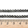 Natural Labradorite Beads Strands G-L622-C03-4mm-5