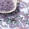 Glass Seed Beads X1-SEED-H002-E-A1421-1