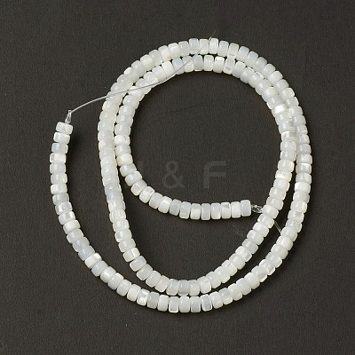 Natural Trochid Shell/Trochus Shell Beads BSHE-B005-12-1