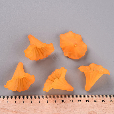 Transparent Acrylic Beads BSF796-C19-1