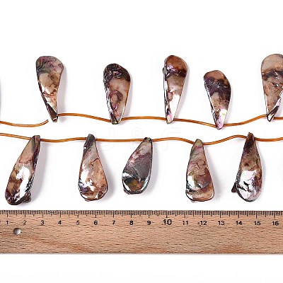 AB Color Plated Dyed Natural Freshwater Shell Beads Strands SHEL-T020-55F-1