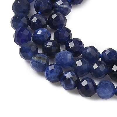 Natural Sodalite Beads Strands G-L622-C04-3mm-1