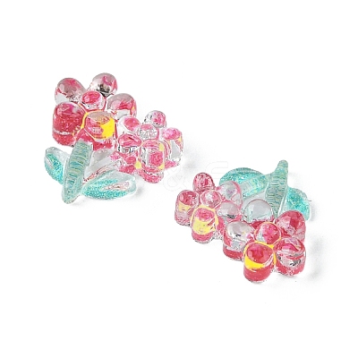 Translucent Resin Cabochons RESI-E039-27-1
