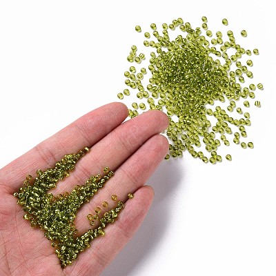 8/0 Glass Seed Beads X2-SEED-A005-3mm-24-1