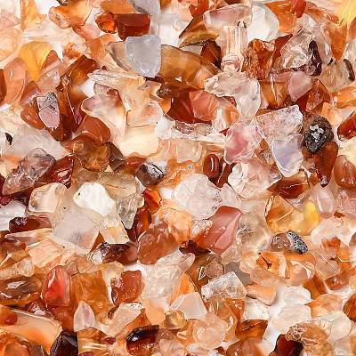 Natural Carnelian Chip Beads X-G-O103-18-1