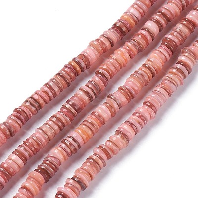 Natural Freshwater Shell Beads Strands BSHE-I016-04E-1