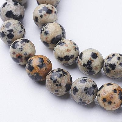 Natural Dalmatian Jasper Beads Strands GSR004-1