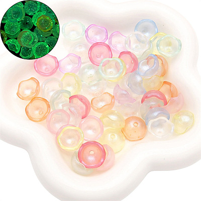Luminous Transparent Acrylic Beads PW-WG1430A-02-1