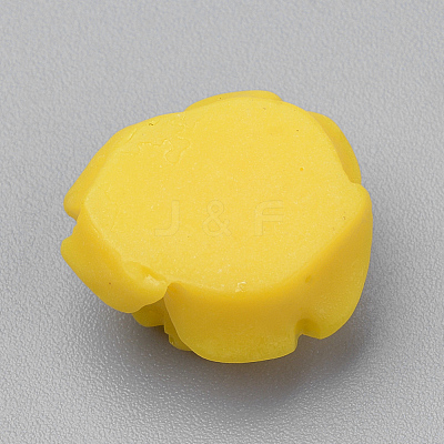 Resin Cabochons X-CRES-Q197-28-1